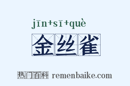 金丝雀是什么意思的图片